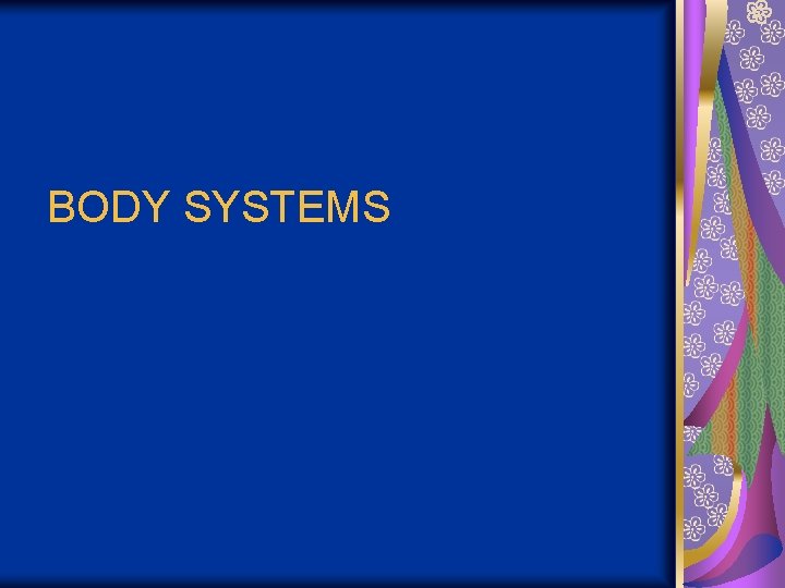 BODY SYSTEMS 