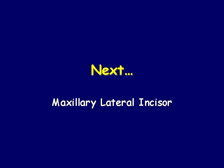 Next… Maxillary Lateral Incisor 