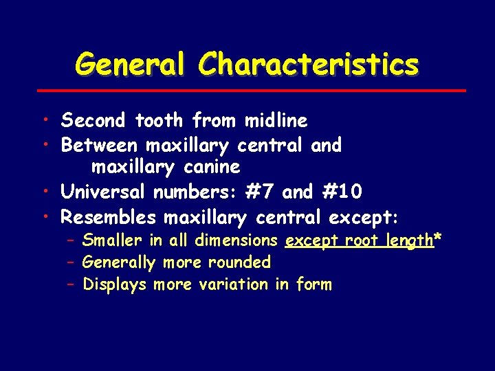 General Characteristics • Second tooth from midline • Between maxillary central and maxillary canine