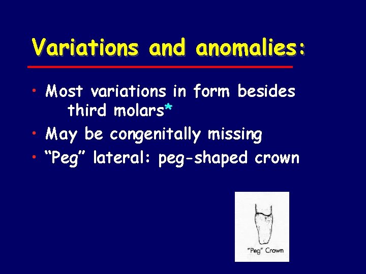 Variations and anomalies: • Most variations in form besides third molars* • May be