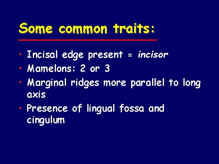 Some common traits: • Incisal edge present = incisor • Mamelons: 2 or 3
