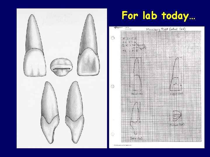 For lab today… 