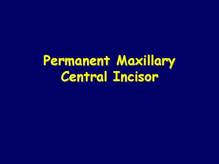 Permanent Maxillary Central Incisor 