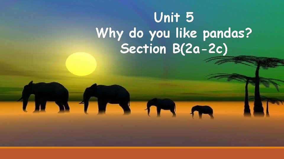 Unit 5 Why do you like pandas? Section B(2 a-2 c) 