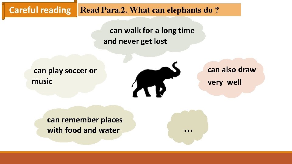 Careful reading Read Para. 2. What can elephants do ? can walk for a