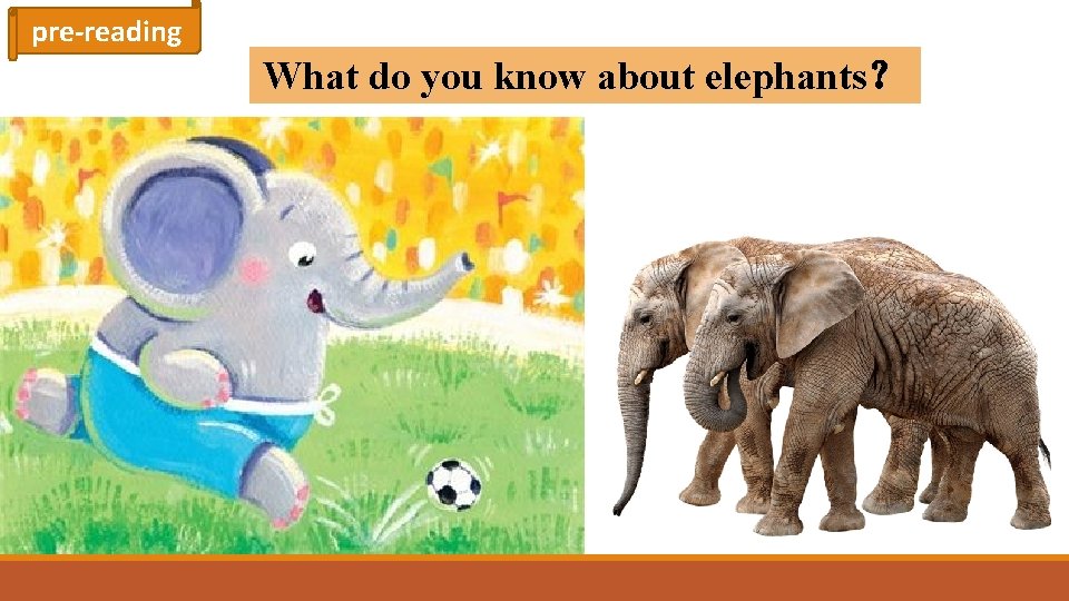 pre-reading What do you know about elephants？ 