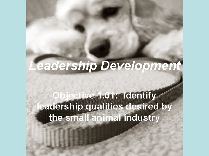 Leadership Development Objective 1. 01: Identify leadership qualities desired by the small animal industry
