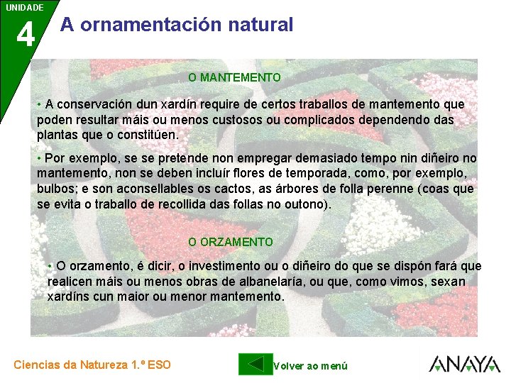 UNIDADE UNIDAD E 4 3 A ornamentación natural O MANTEMENTO • A conservación dun