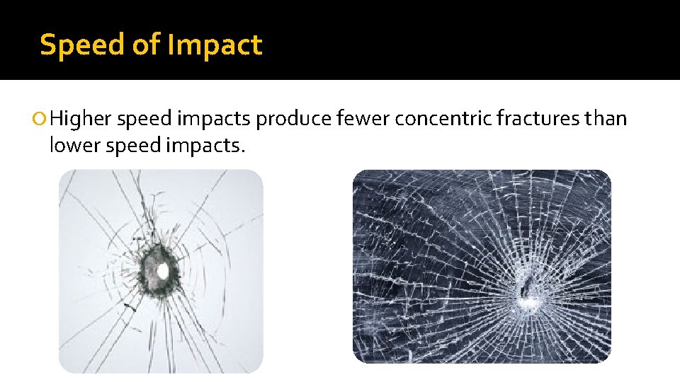 Speed of Impact Higher speed impacts produce fewer concentric fractures than lower speed impacts.