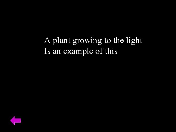 A plant growing to the light Is an example of this 