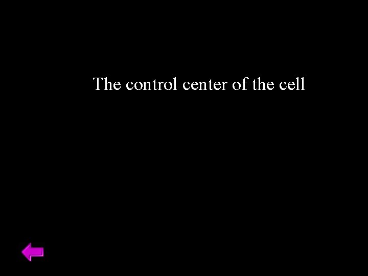The control center of the cell 
