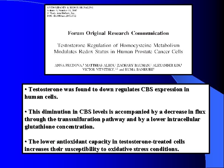  • Testosterone was found to down regulates CBS expression in human cells. •