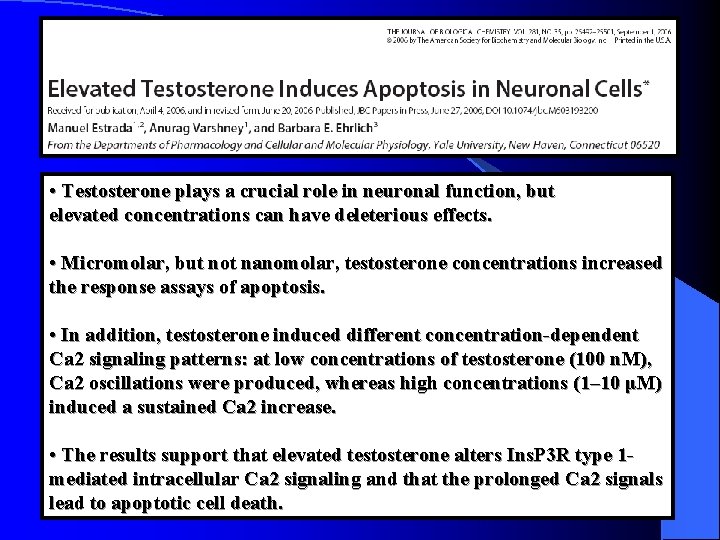  • Testosterone plays a crucial role in neuronal function, but elevated concentrations can