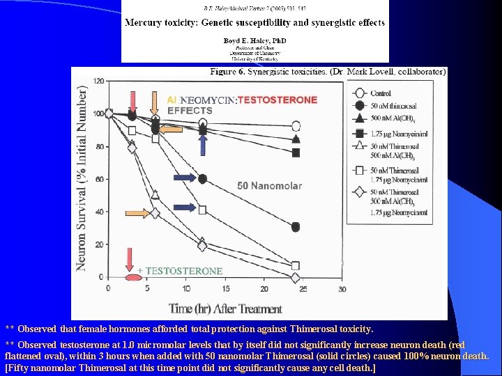 ** Observed that female hormones afforded total protection against Thimerosal toxicity. ** Observed testosterone