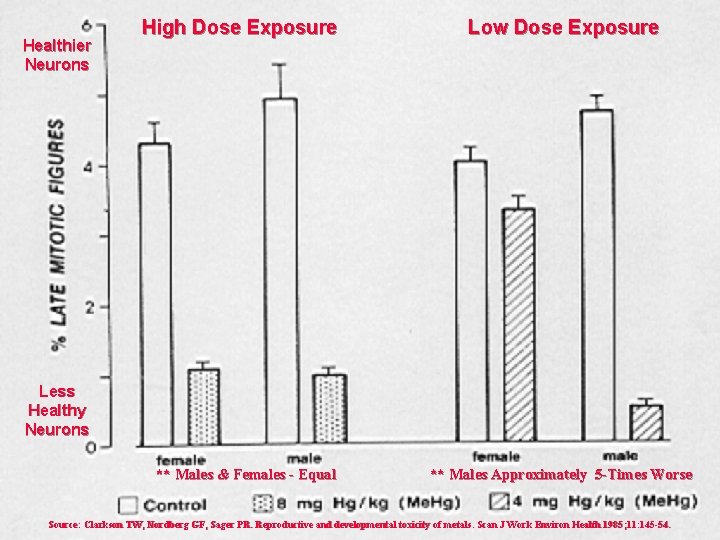 Healthier Neurons High Dose Exposure Low Dose Exposure Less Healthy Neurons ** Males &