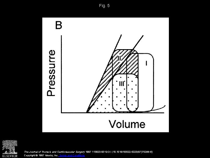 Fig. 5 The Journal of Thoracic and Cardiovascular Surgery 1997 113923 -931 DOI: (10.