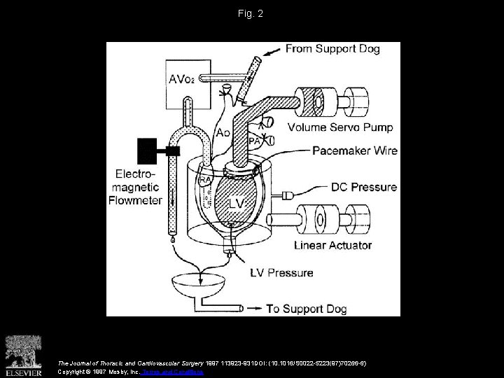 Fig. 2 The Journal of Thoracic and Cardiovascular Surgery 1997 113923 -931 DOI: (10.