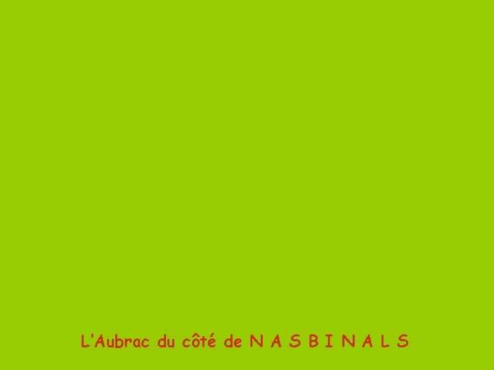 L’Aubrac du côté de N A S B I N A L S 