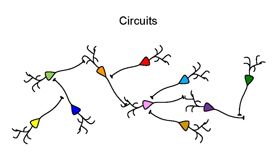 Circuits Circuits