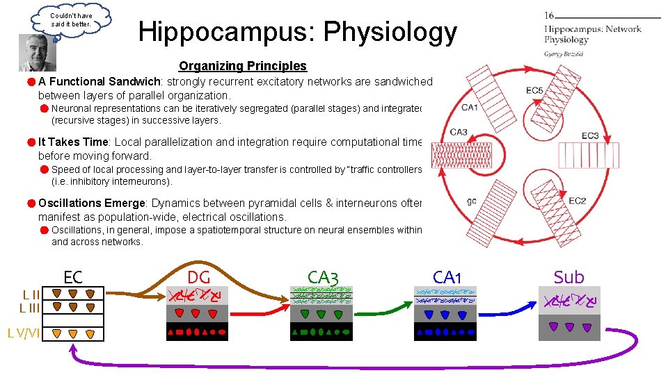Couldn’t have said it better. Hippocampus: Physiology Organizing Principles A Functional Sandwich: strongly recurrent Couldn’t have said it better. Hippocampus: Physiology Organizing Principles A Functional Sandwich: strongly recurrent