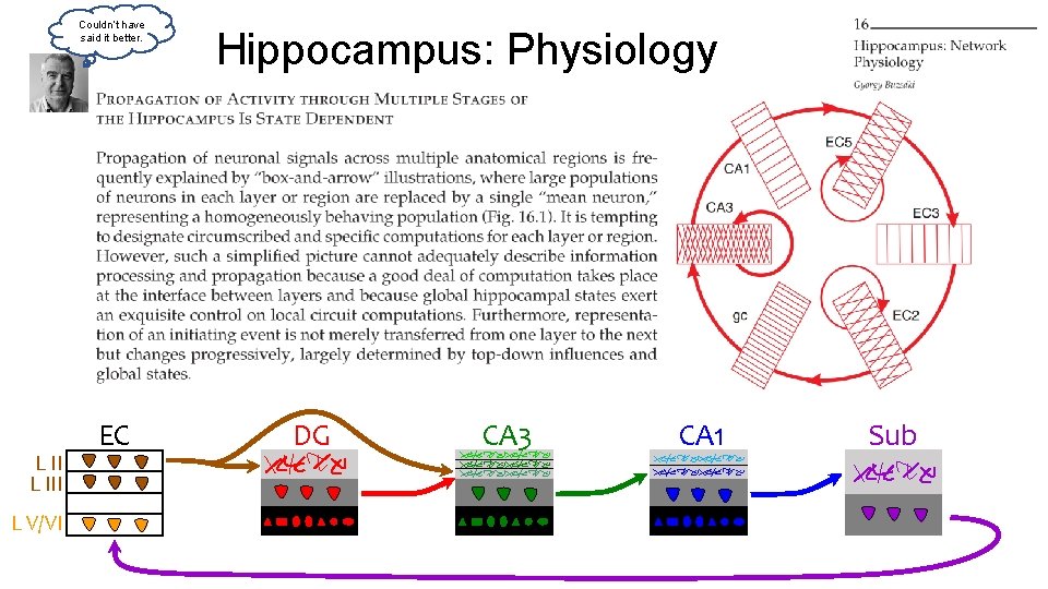 Couldn’t have said it better. L III L V/VI EC Hippocampus: Physiology DG CA Couldn’t have said it better. L III L V/VI EC Hippocampus: Physiology DG CA