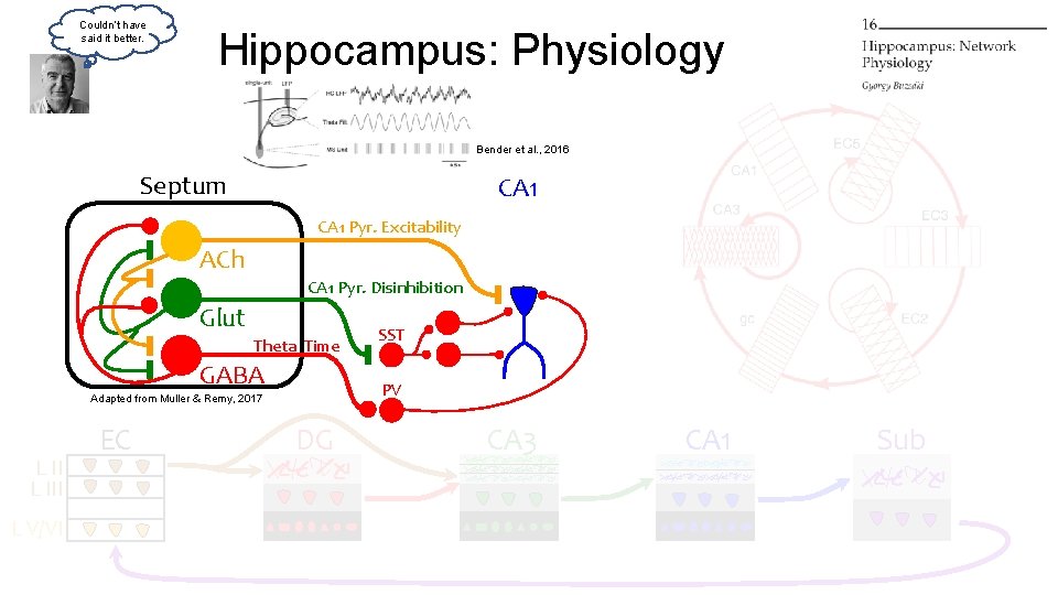 Couldn’t have said it better. Hippocampus: Physiology Bender et al. , 2016 Septum CA Couldn’t have said it better. Hippocampus: Physiology Bender et al. , 2016 Septum CA
