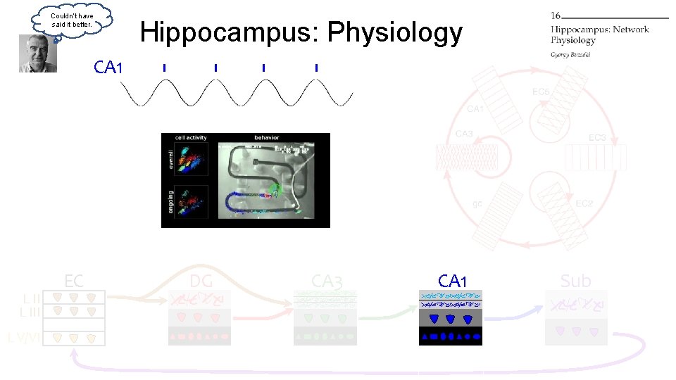 Couldn’t have said it better. Hippocampus: Physiology CA 1 L III L V/VI EC Couldn’t have said it better. Hippocampus: Physiology CA 1 L III L V/VI EC