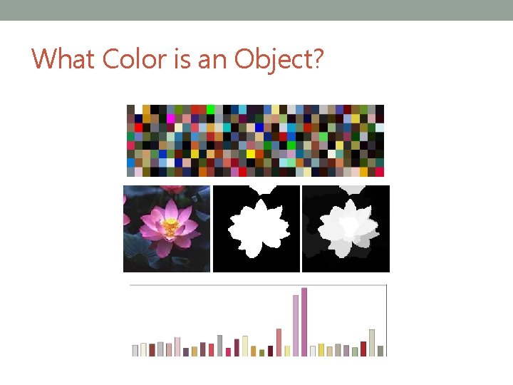 What Color is an Object? 