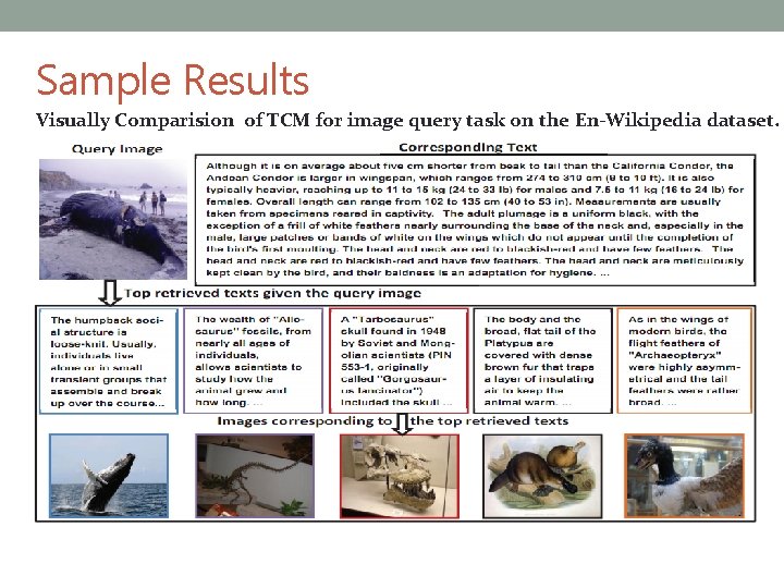 Experiments on the English Datasets Sample Results Visually Comparision of TCM for image query
