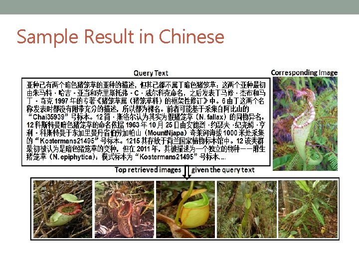 Sample Result in Chinese Visually Comparision of TCM for text query task on the