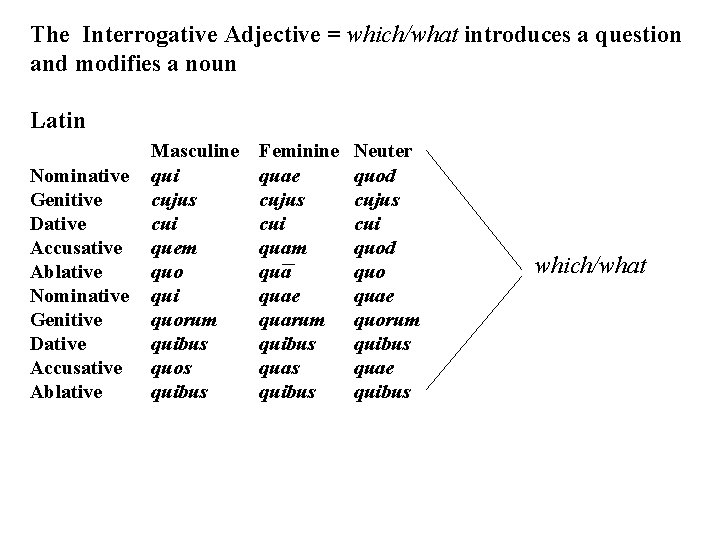 The Interrogative Adjective = which/what introduces a question and modifies a noun Latin Nominative