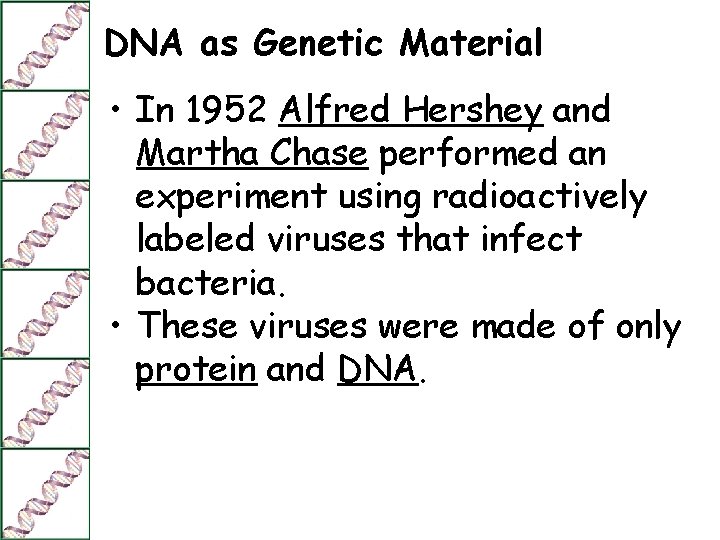 DNA as Genetic Material • In 1952 Alfred Hershey and Martha Chase performed an