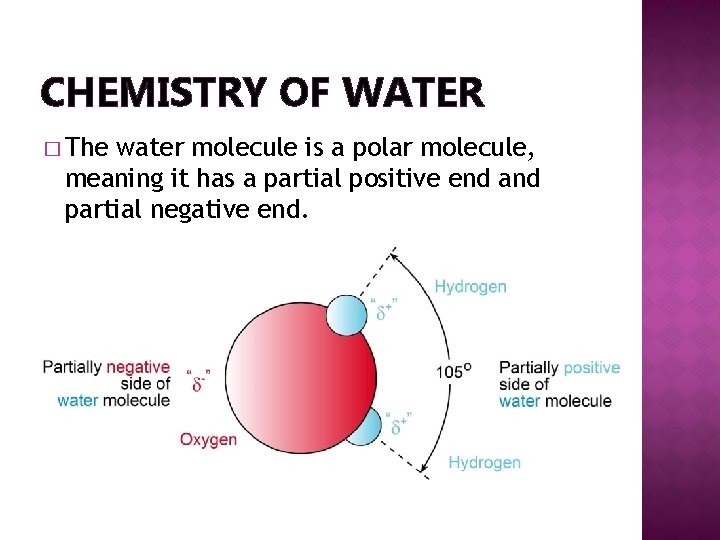CHEMISTRY OF WATER � The water molecule is a polar molecule, meaning it has