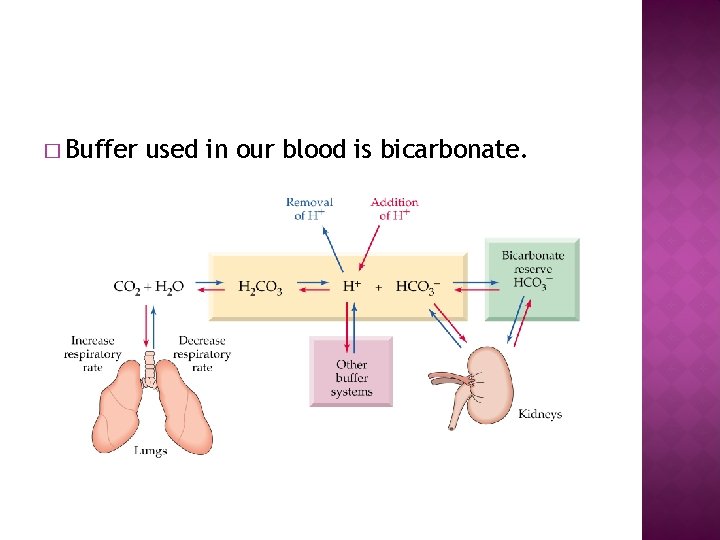 � Buffer used in our blood is bicarbonate. 