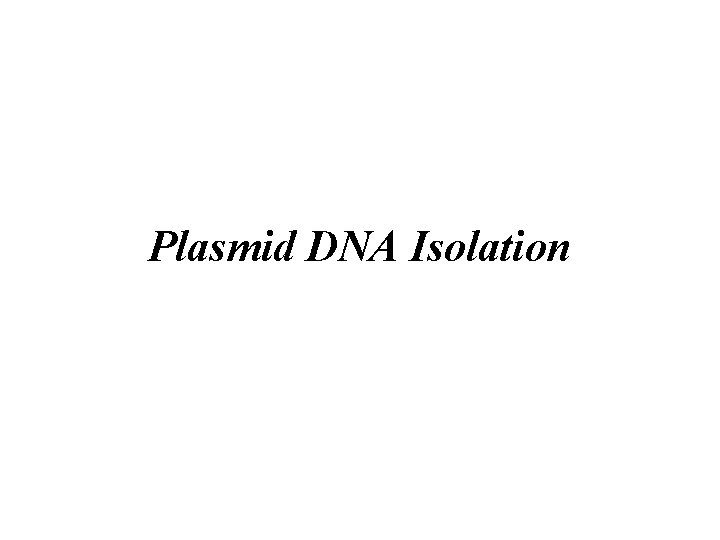 Plasmid DNA Isolation 