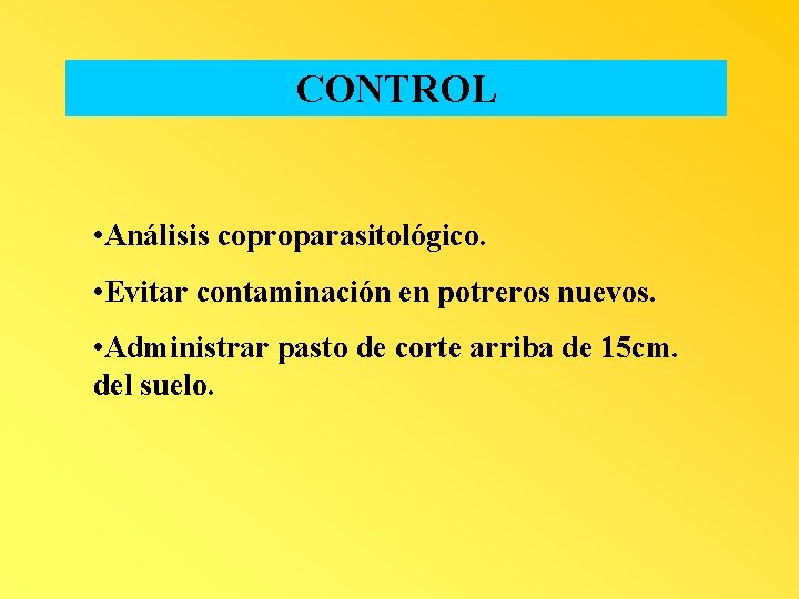 CONTROL • Análisis coproparasitológico. • Evitar contaminación en potreros nuevos. • Administrar pasto de