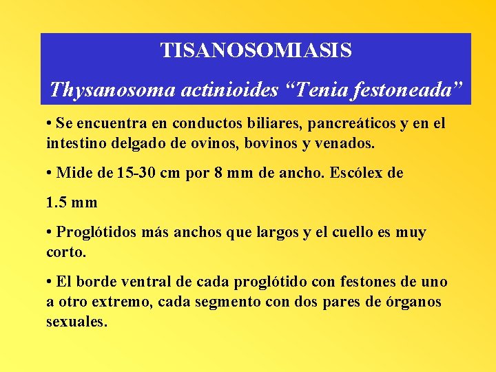 TISANOSOMIASIS Thysanosoma actinioides “Tenia festoneada” • Se encuentra en conductos biliares, pancreáticos y en