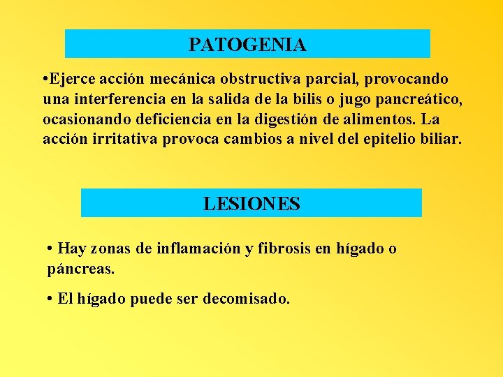 PATOGENIA • Ejerce acción mecánica obstructiva parcial, provocando una interferencia en la salida de