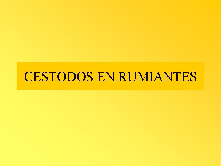 CESTODOS EN RUMIANTES 