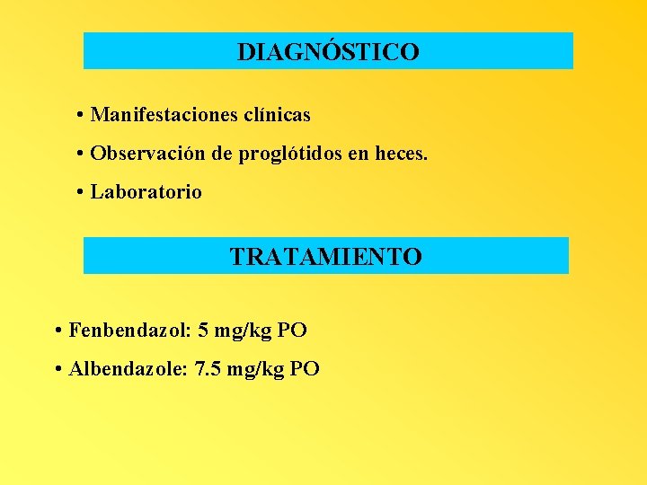 DIAGNÓSTICO • Manifestaciones clínicas • Observación de proglótidos en heces. • Laboratorio TRATAMIENTO •