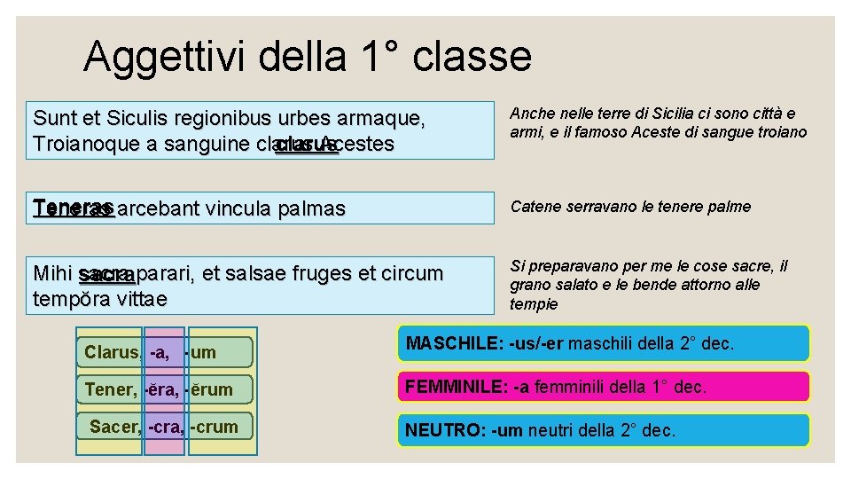 Aggettivi della 1° classe Sunt et Siculis regionibus urbes armaque, clarus Troianoque a sanguine