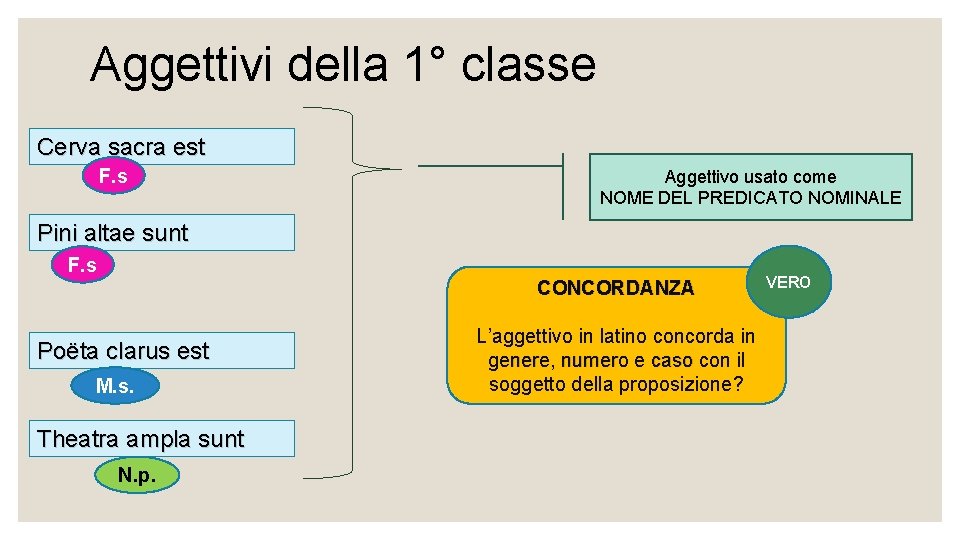 Aggettivi della 1° classe Cerva sacra est F. s Aggettivo usato come NOME DEL