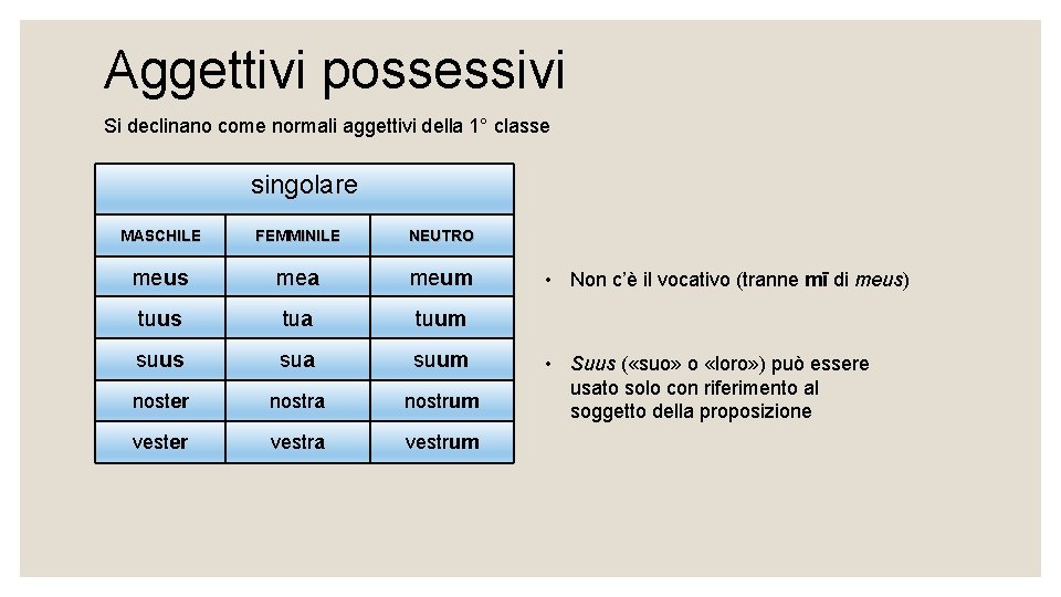 Aggettivi possessivi Si declinano come normali aggettivi della 1° classe singolare MASCHILE FEMMINILE NEUTRO