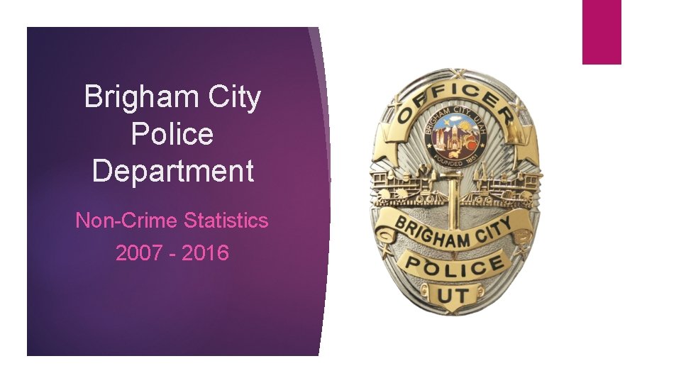 Brigham City Police Department Non-Crime Statistics 2007 - 2016 