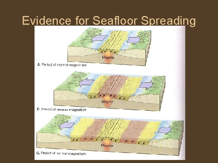 Evidence for Seafloor Spreading 