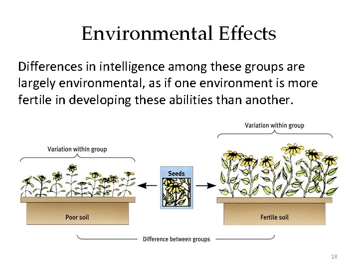 Environmental Effects Differences in intelligence among these groups are largely environmental, as if one
