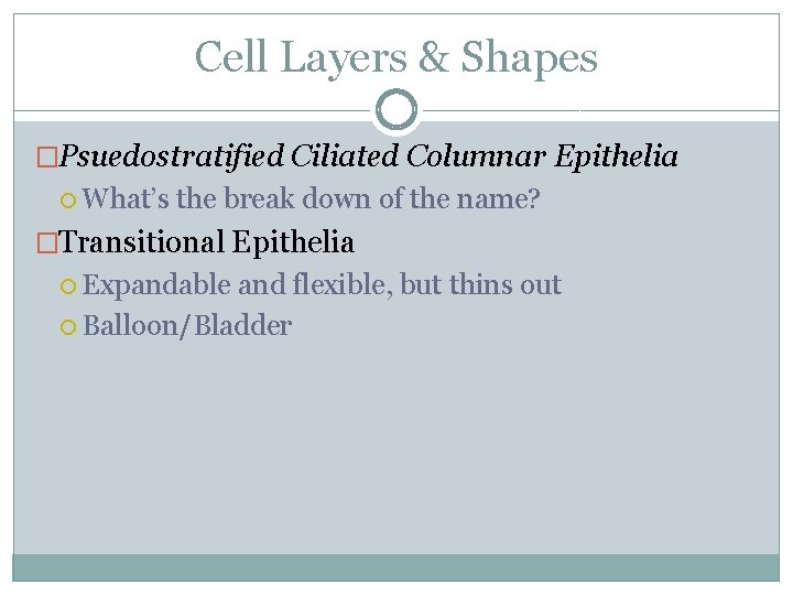Cell Layers & Shapes �Psuedostratified Ciliated Columnar Epithelia What’s the break down of the Cell Layers & Shapes �Psuedostratified Ciliated Columnar Epithelia What’s the break down of the