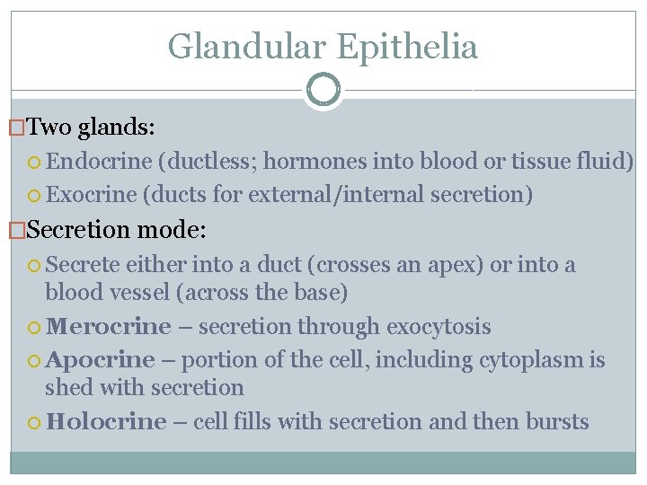 Glandular Epithelia �Two glands: Endocrine (ductless; hormones into blood or tissue fluid) Exocrine (ducts Glandular Epithelia �Two glands: Endocrine (ductless; hormones into blood or tissue fluid) Exocrine (ducts