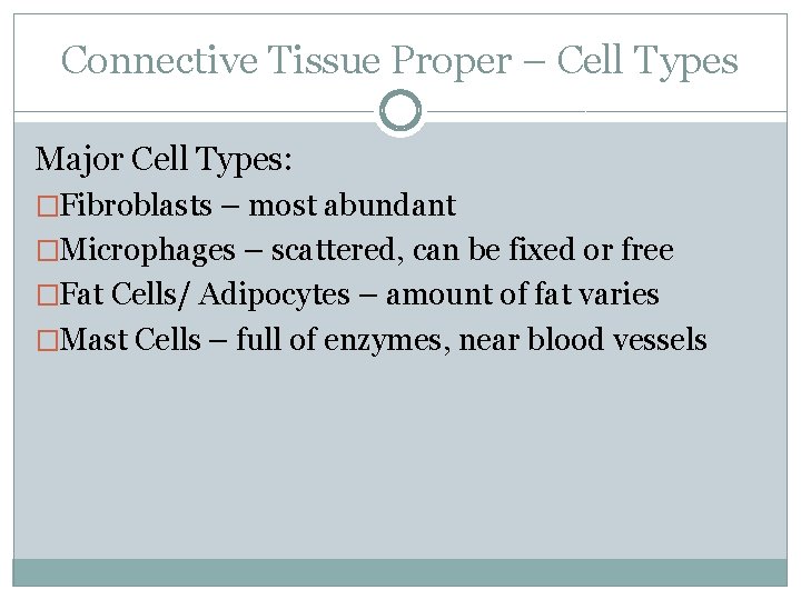 Connective Tissue Proper – Cell Types Major Cell Types: �Fibroblasts – most abundant �Microphages Connective Tissue Proper – Cell Types Major Cell Types: �Fibroblasts – most abundant �Microphages