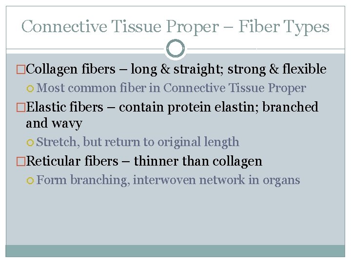 Connective Tissue Proper – Fiber Types �Collagen fibers – long & straight; strong & Connective Tissue Proper – Fiber Types �Collagen fibers – long & straight; strong &